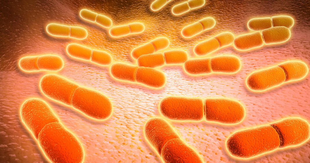 Another child dies in listeria outbreak linked to ready-to-eat meat and poultry products