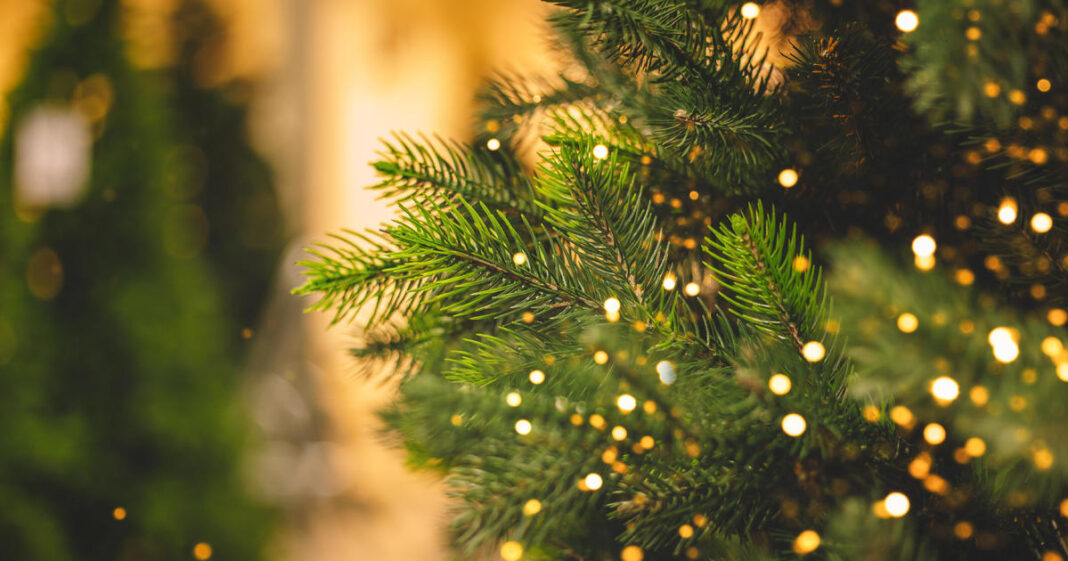 Still want to buy a Christmas tree? Here's the good news.