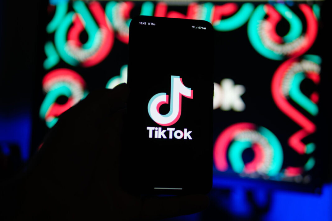 TikTok asks court to quash laxity as app seeks final court appeal