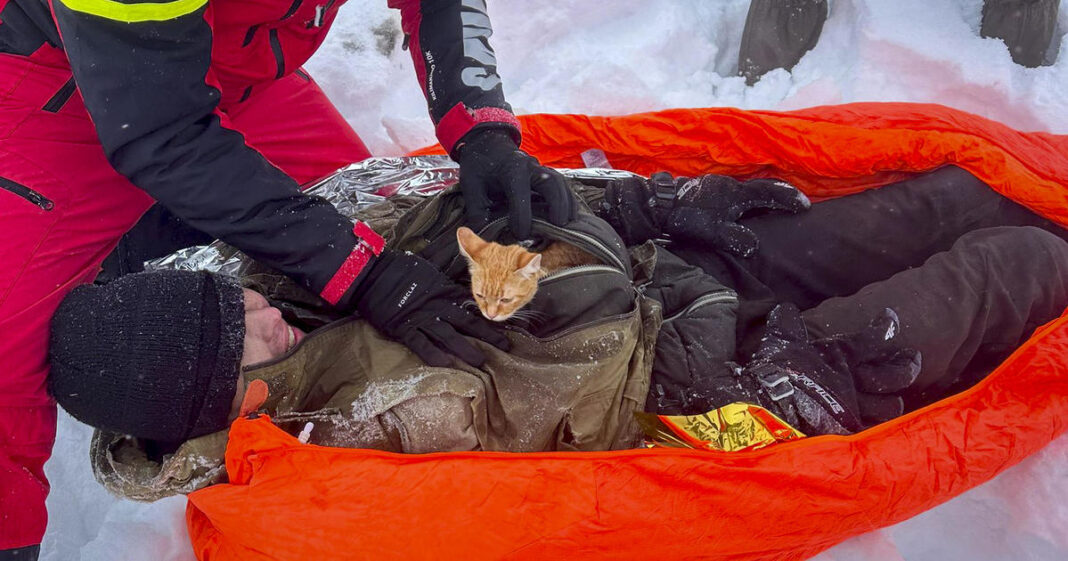 Boy who struggled with his kittens from Ukraine found alive in snowy mountains of Romania: 